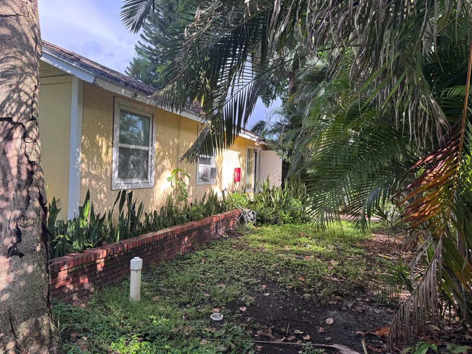 Front yard
