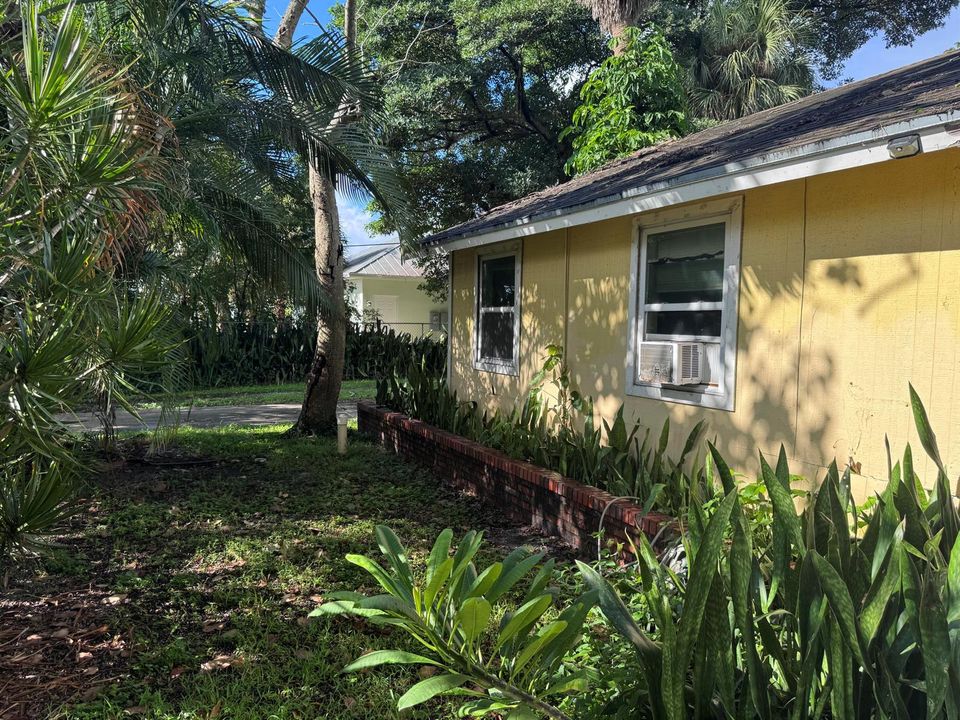 Front Yard