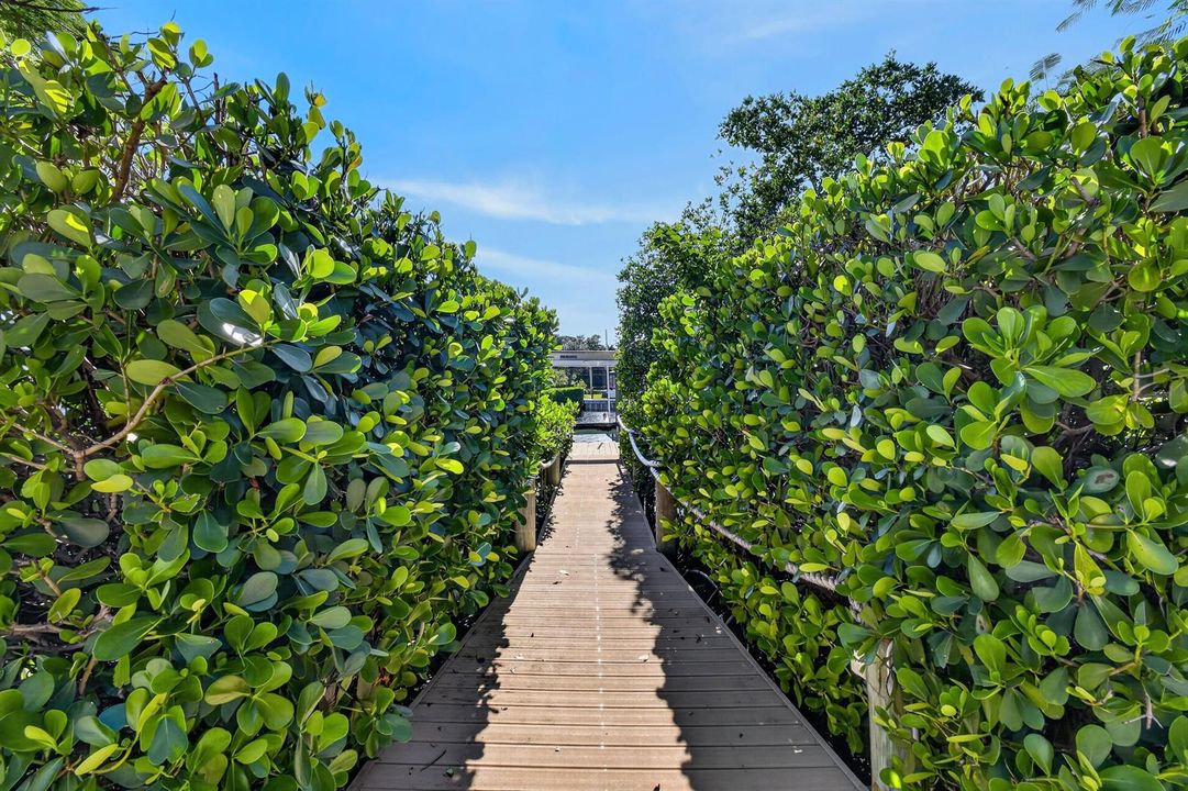 Walkway to Front Dock
