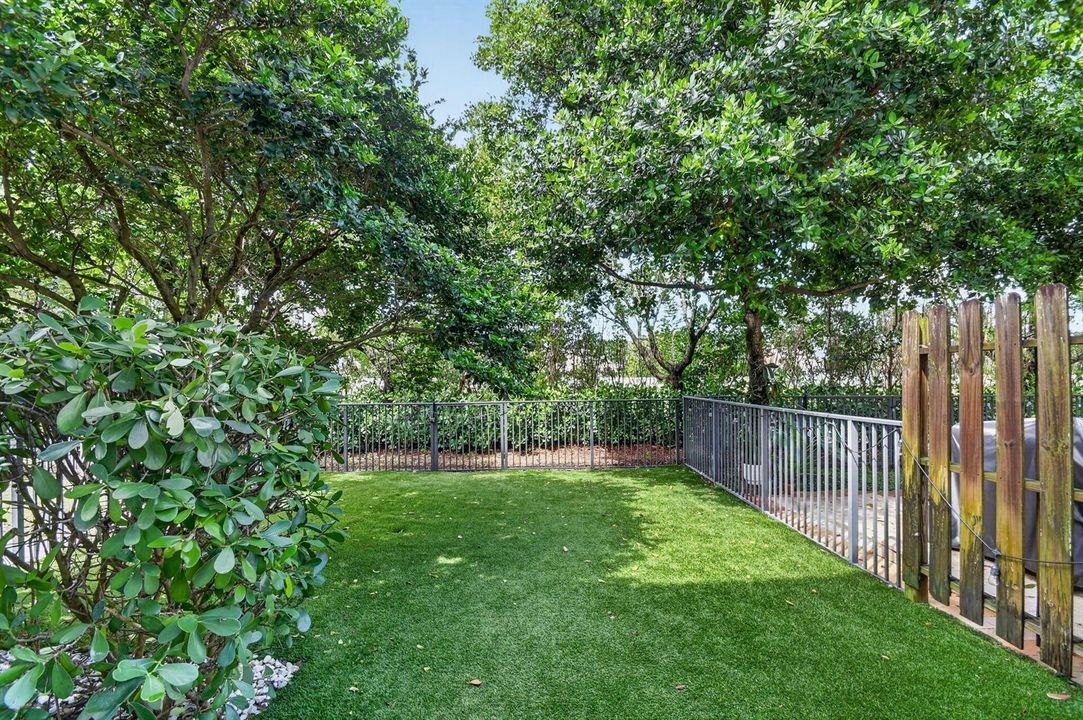 Backyard 1