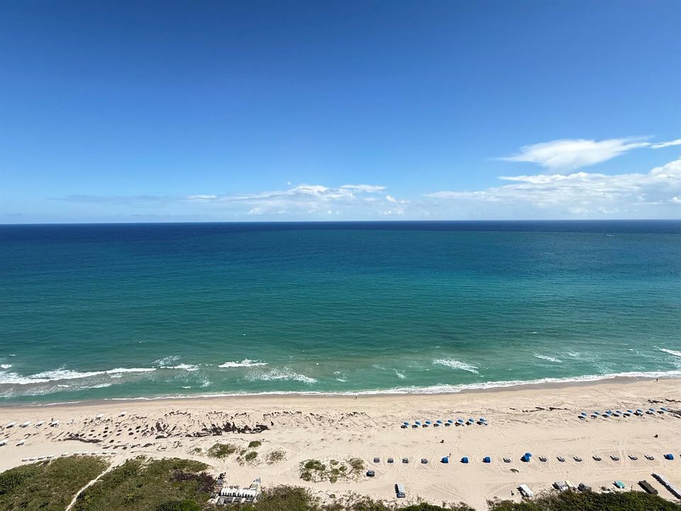 View from Unit