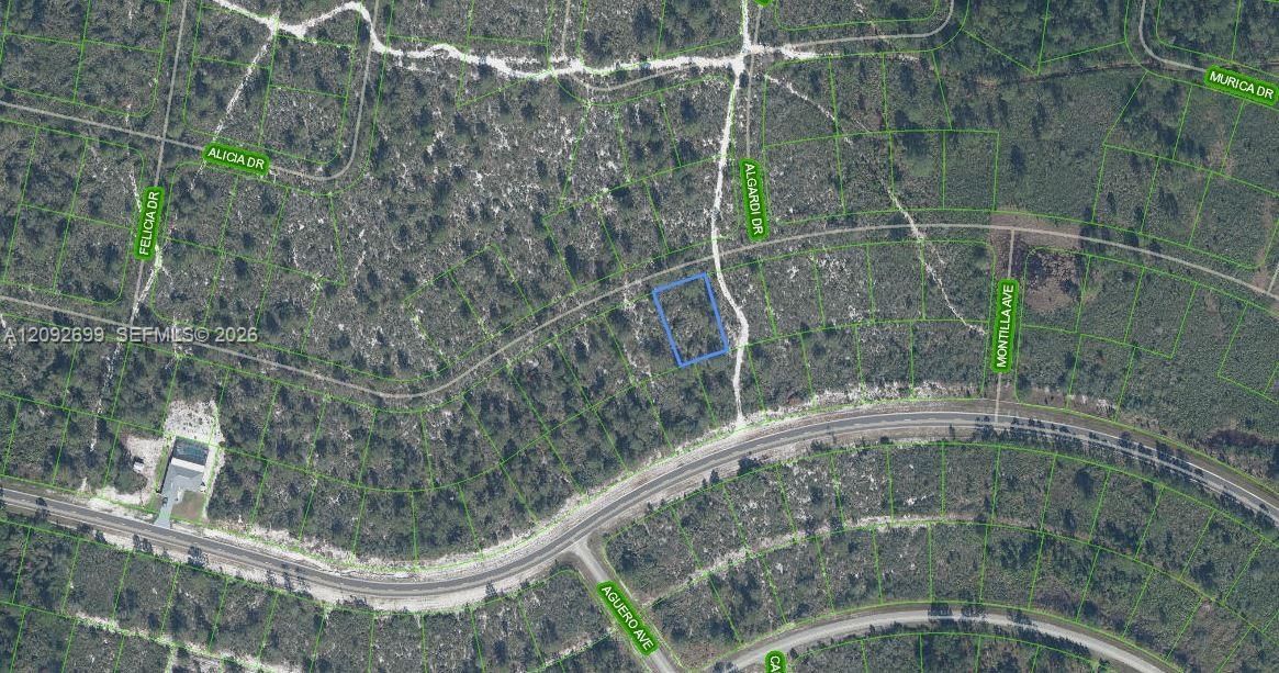 На продажу: $12,900 (0.25 acres)