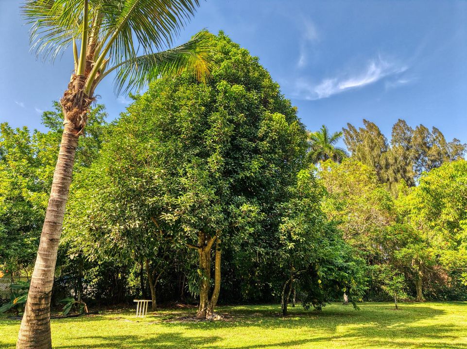 30 Backyard Views (5)