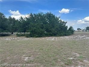На продажу: $33,900 (0.30 acres)