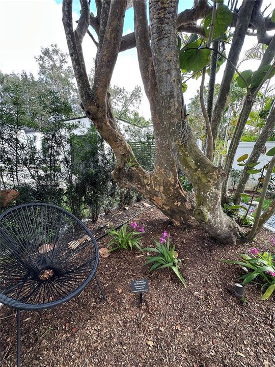 En Venta: $1,350,000 (2 camas, 1 baños, 1155 Pies cuadrados)