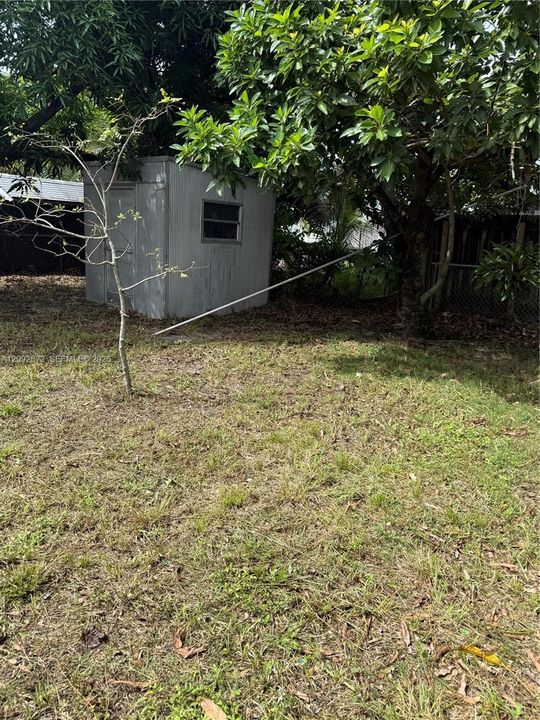 backyard