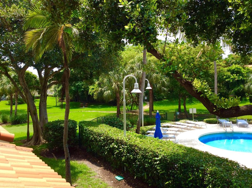 YC SIDE POOL