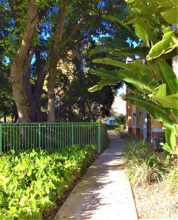 103 YC 104 WALKWAY TO SECOND POOL ZEN PO