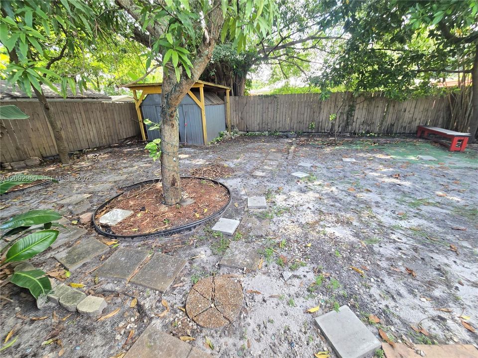 Large Backyard