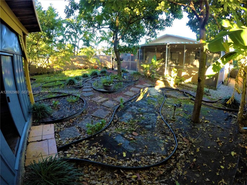 Fruit trees
