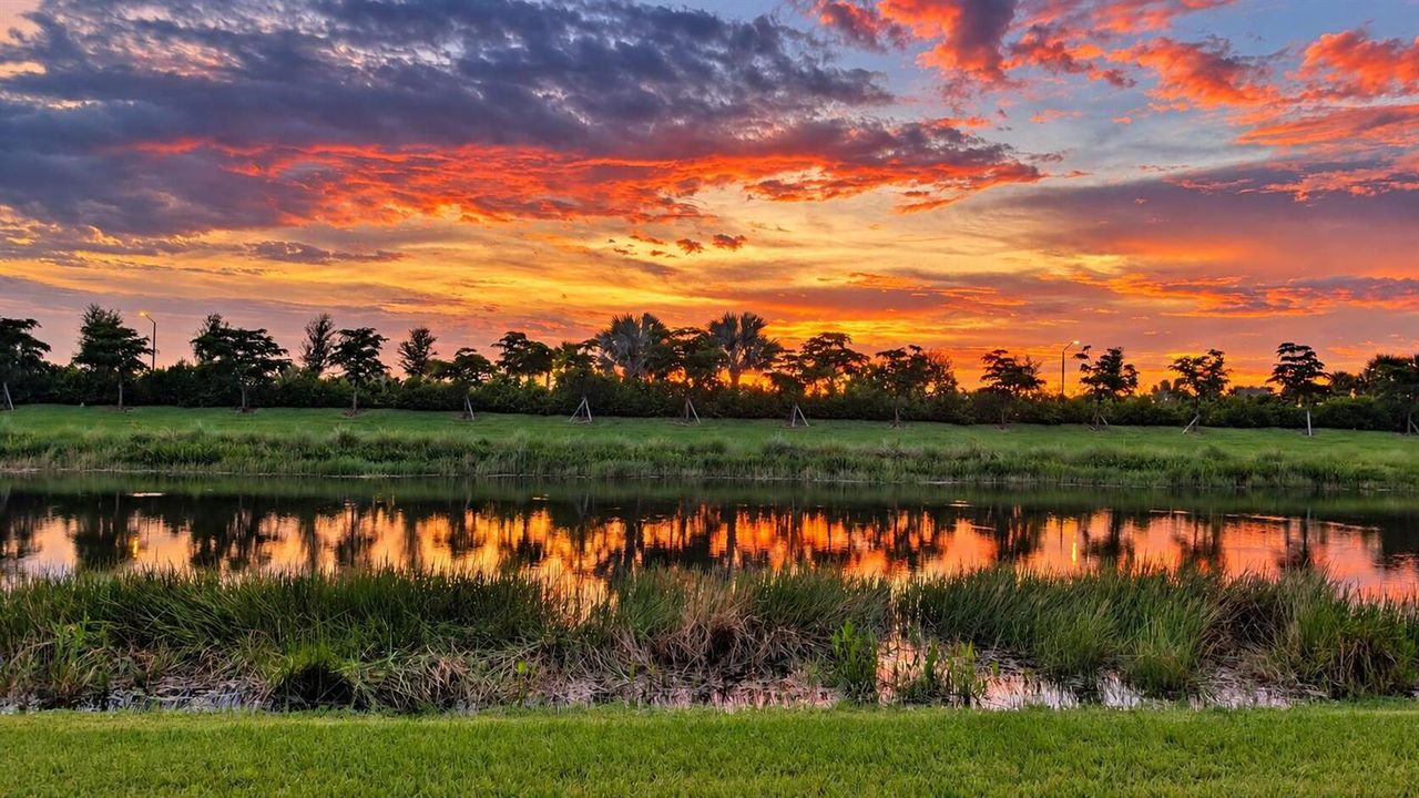 Sunset view