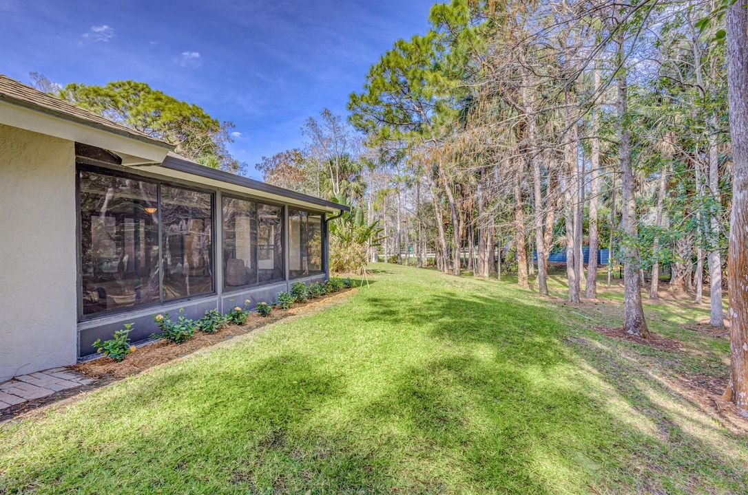 Back of the house