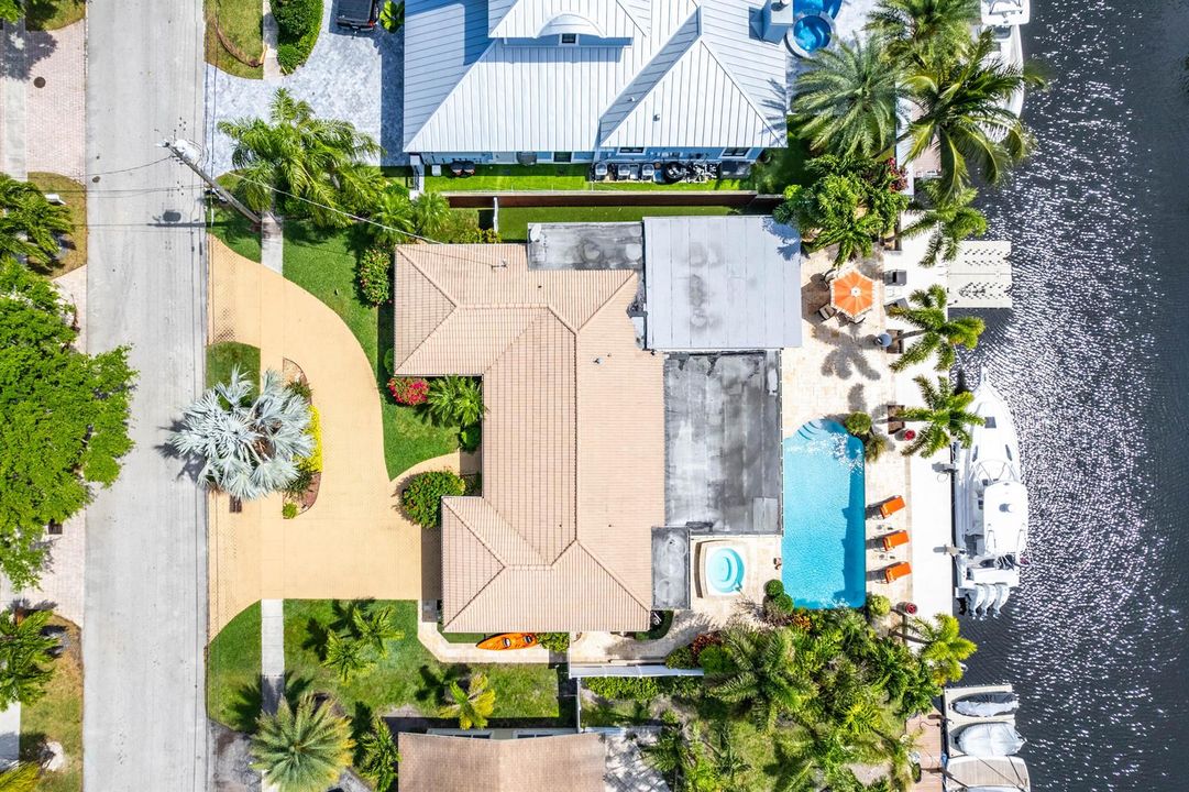 Amazing backyard