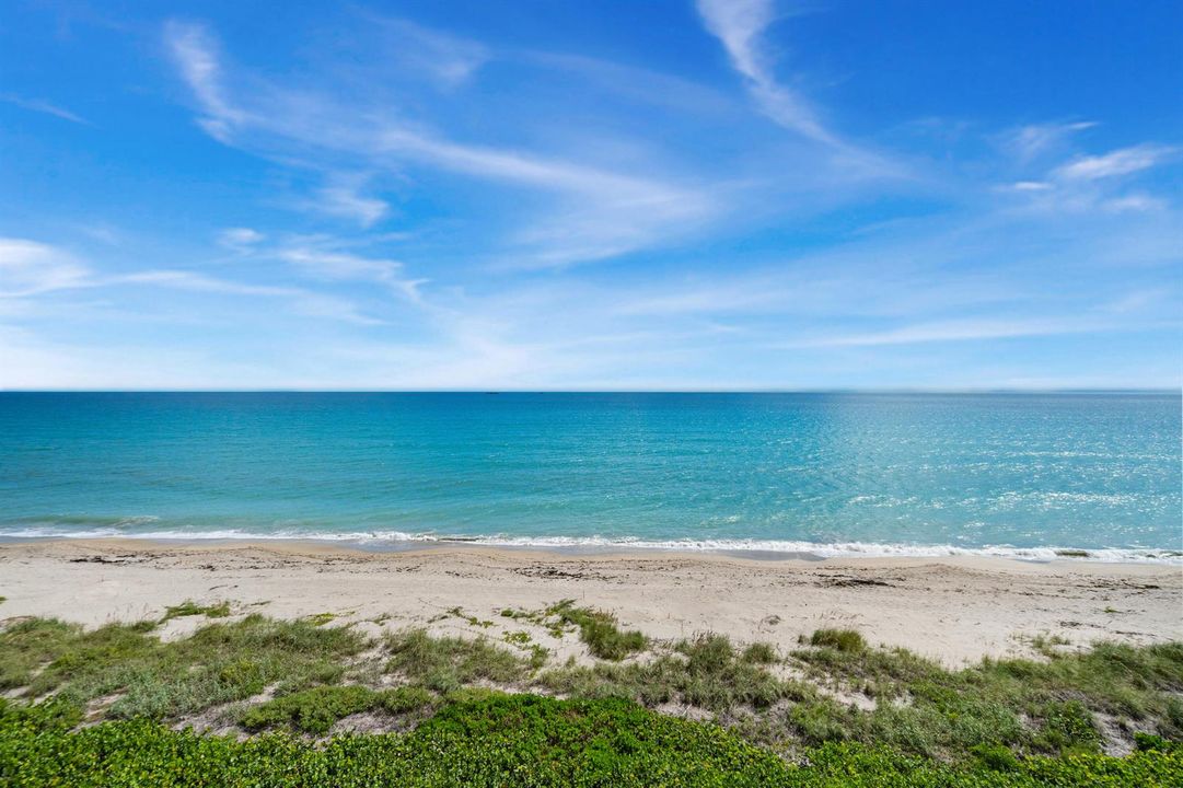 Beautiful Beach Day