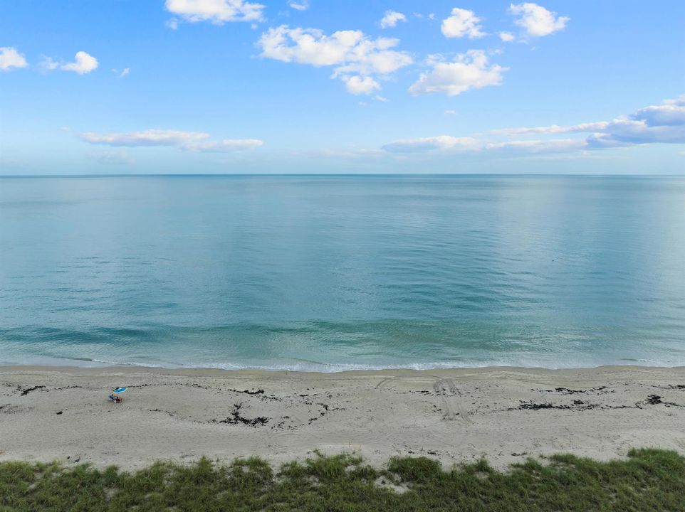 Beautiful beach day