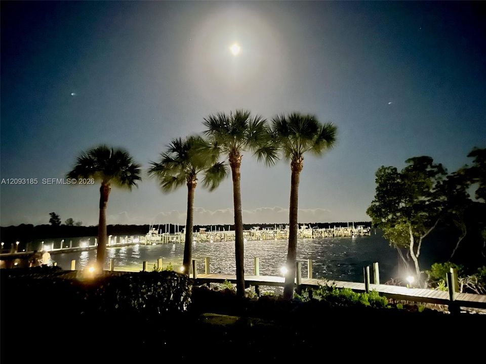 Full Moon Rising View
