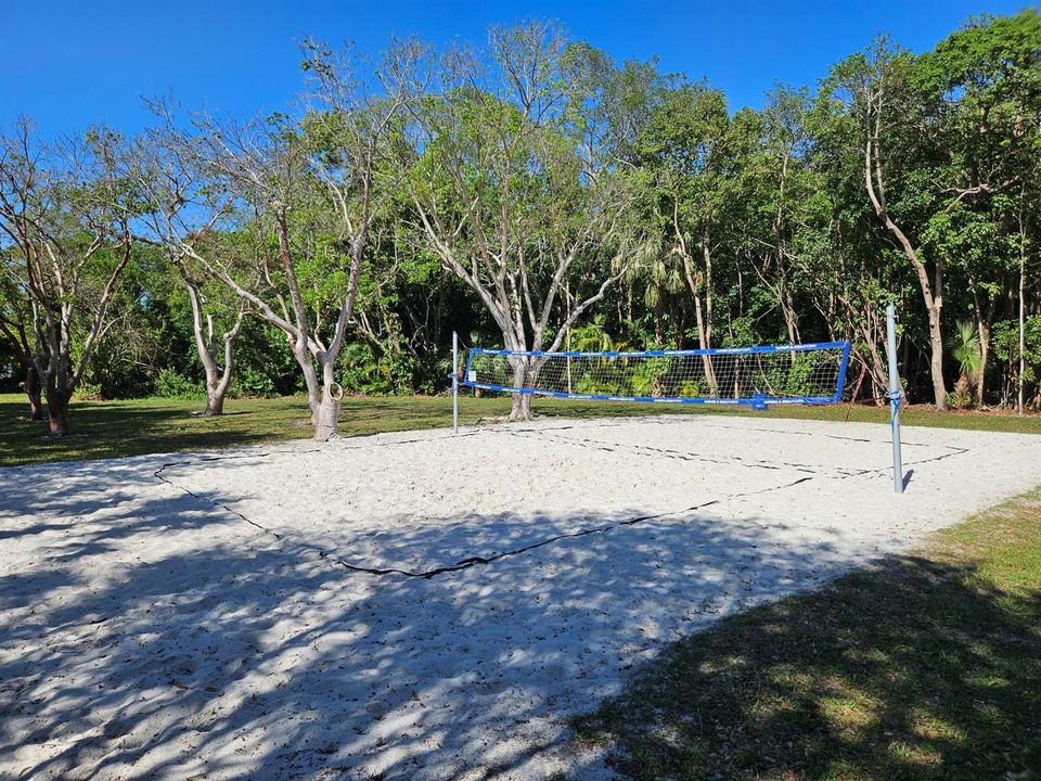 Volleyball court