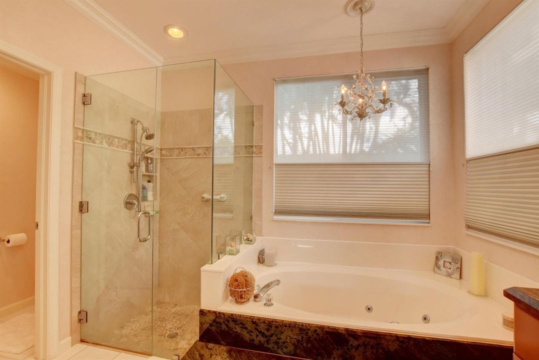 Master bath jacuzzi and frameless shower