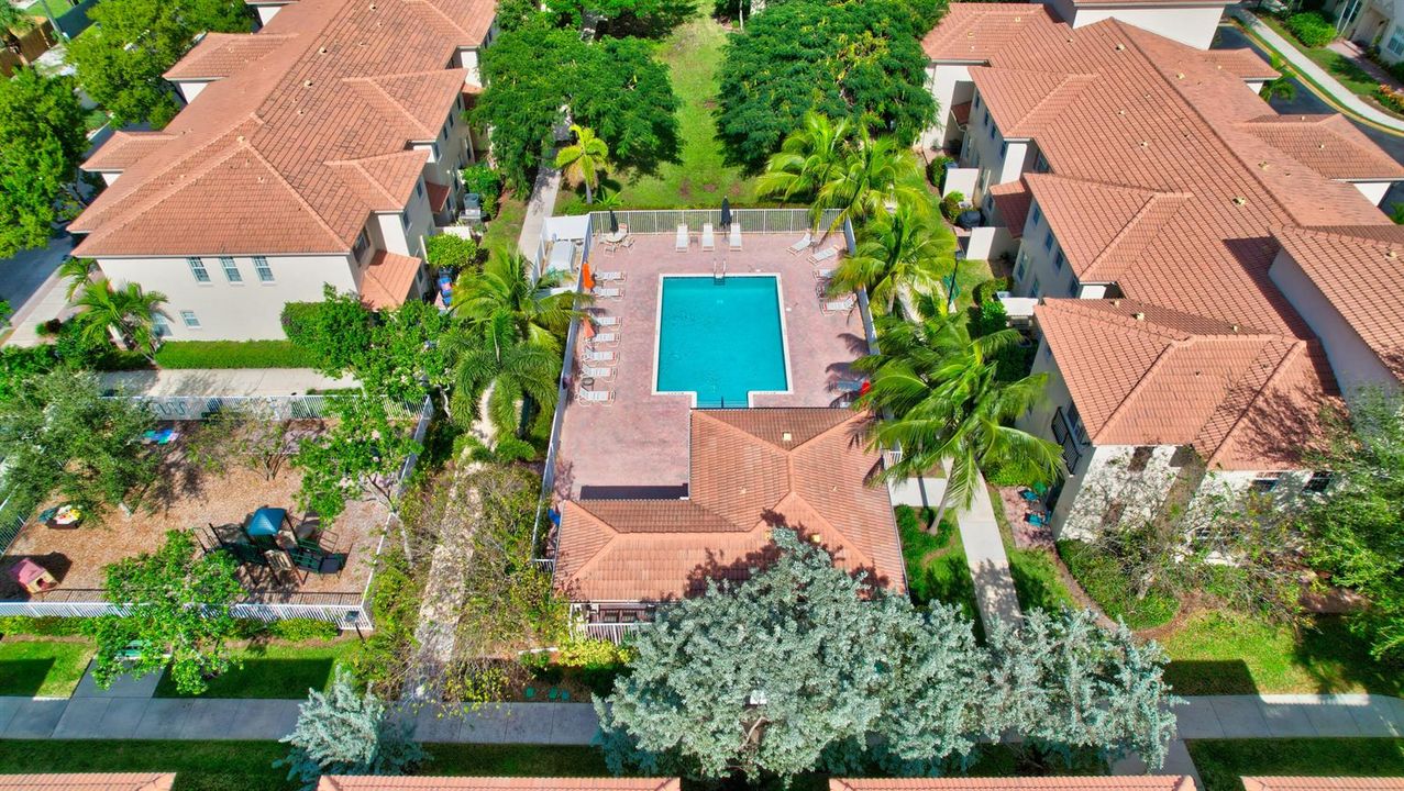 The Pool and the Playground