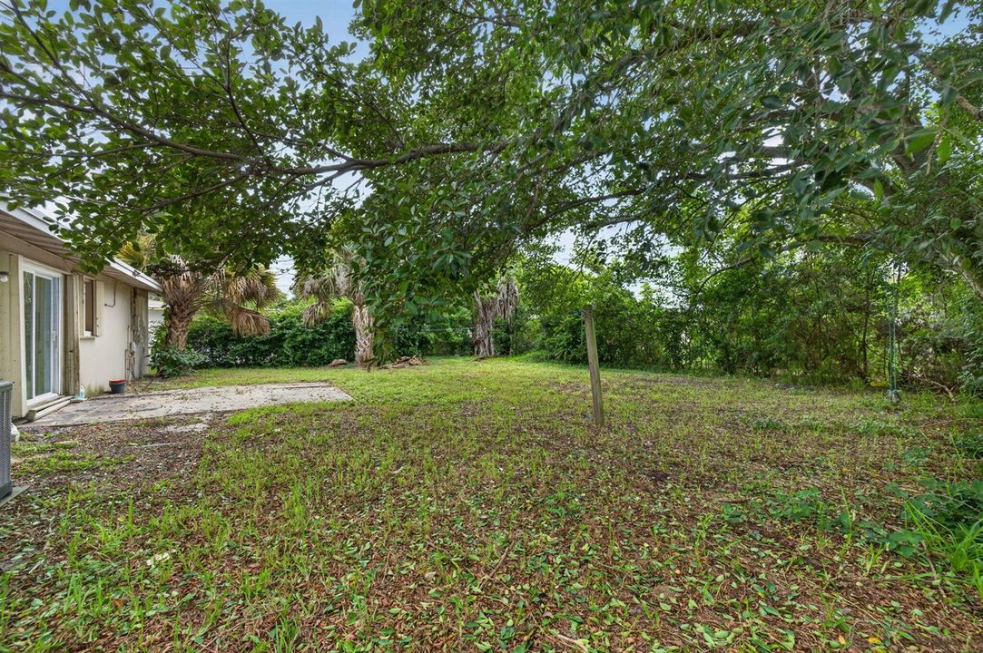 29-web-or-mls-3A5A9519
