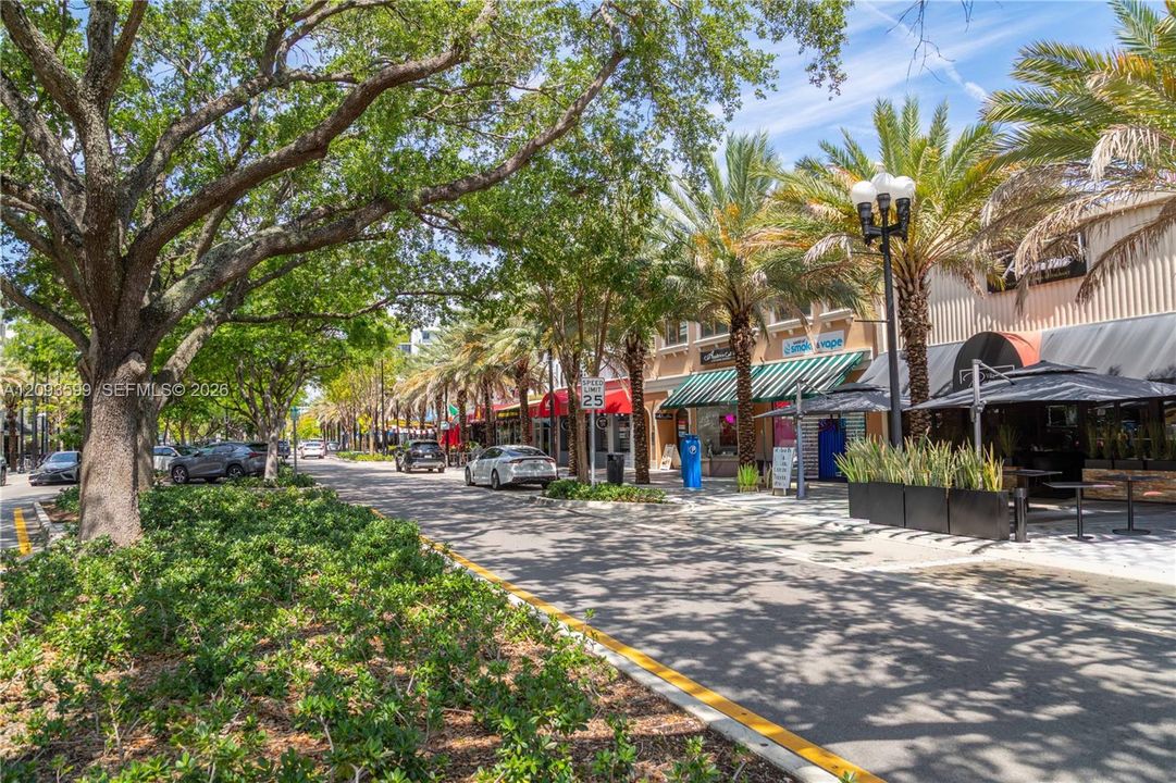 Downtown Hollywood Rest and Shops