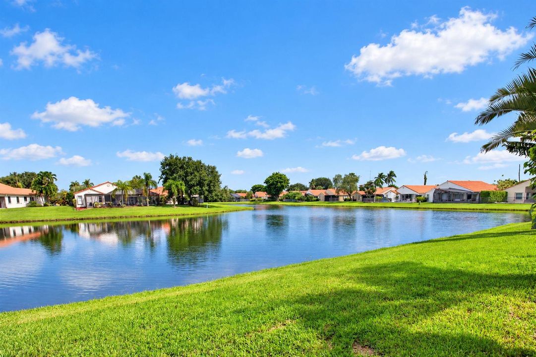 Lake view