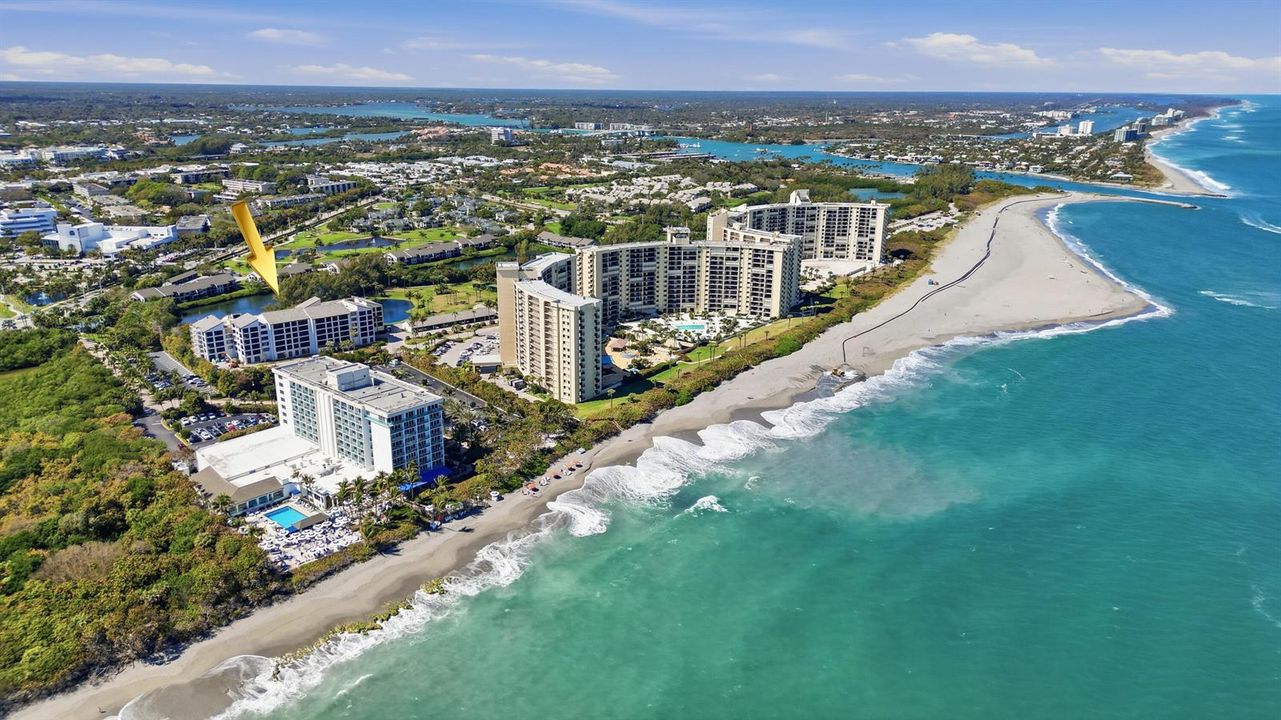 Ocean Trail