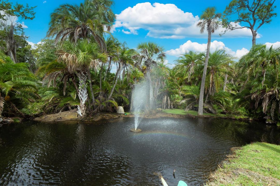 Community Palm Pond Park