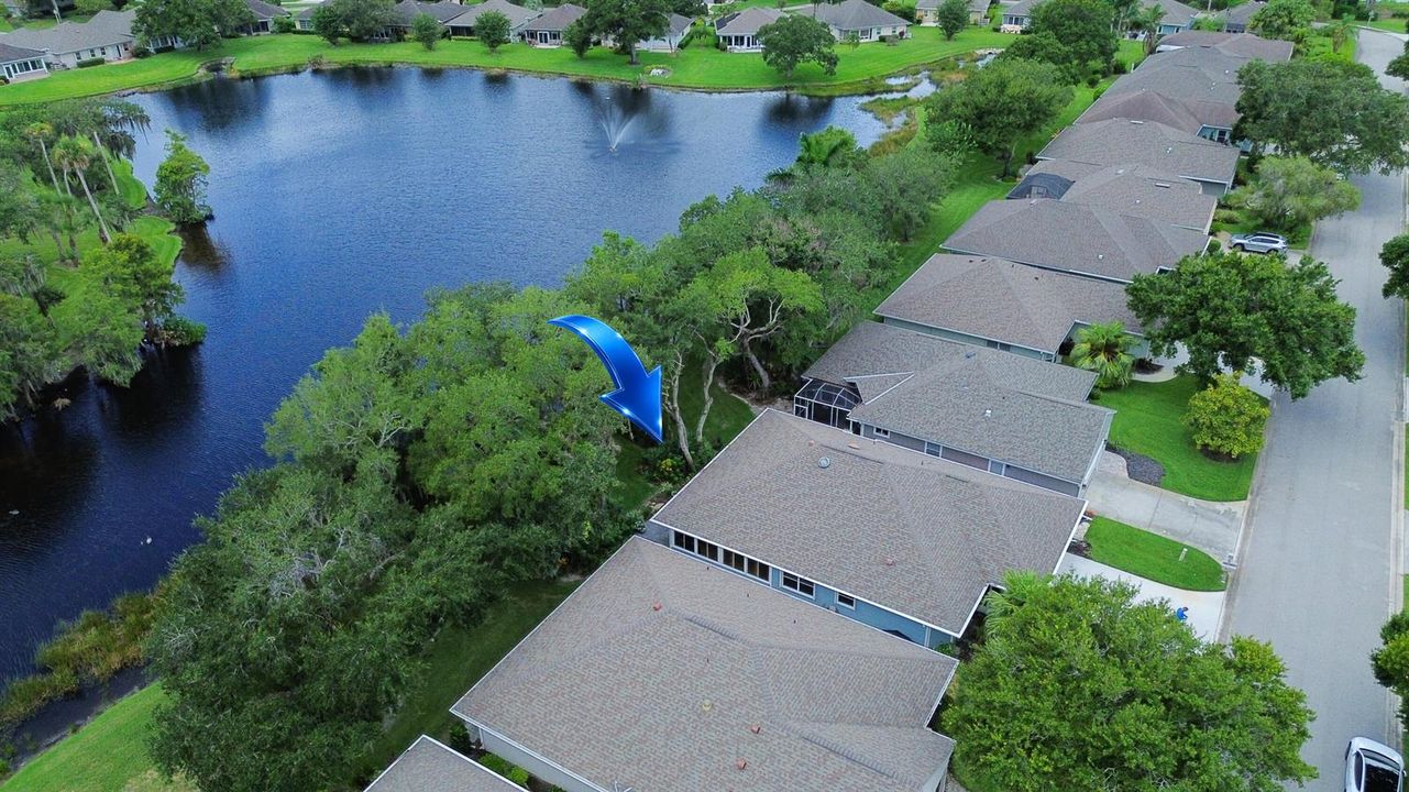 Aerial Pond Dock View