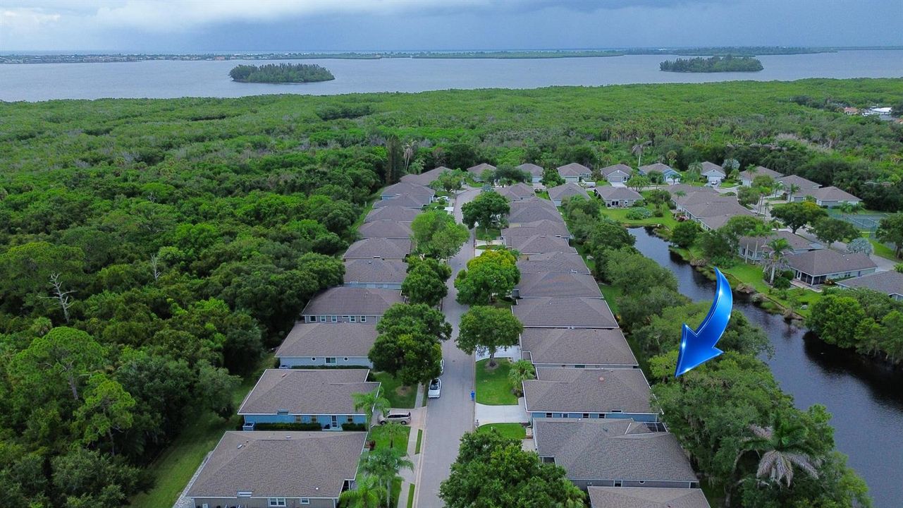 Aerial Treetop Lake View