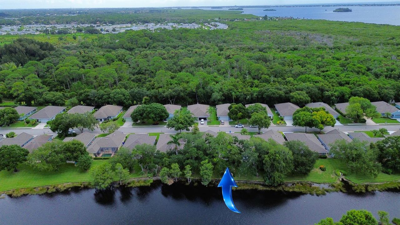 Aerial Waterway Forest