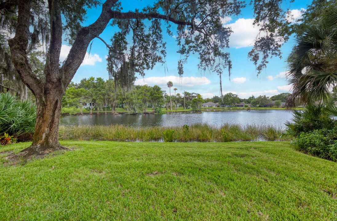 Backyard Lake Panorama