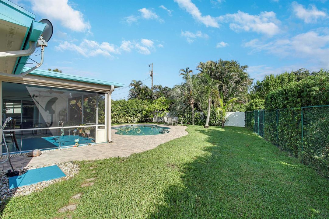 Back yard