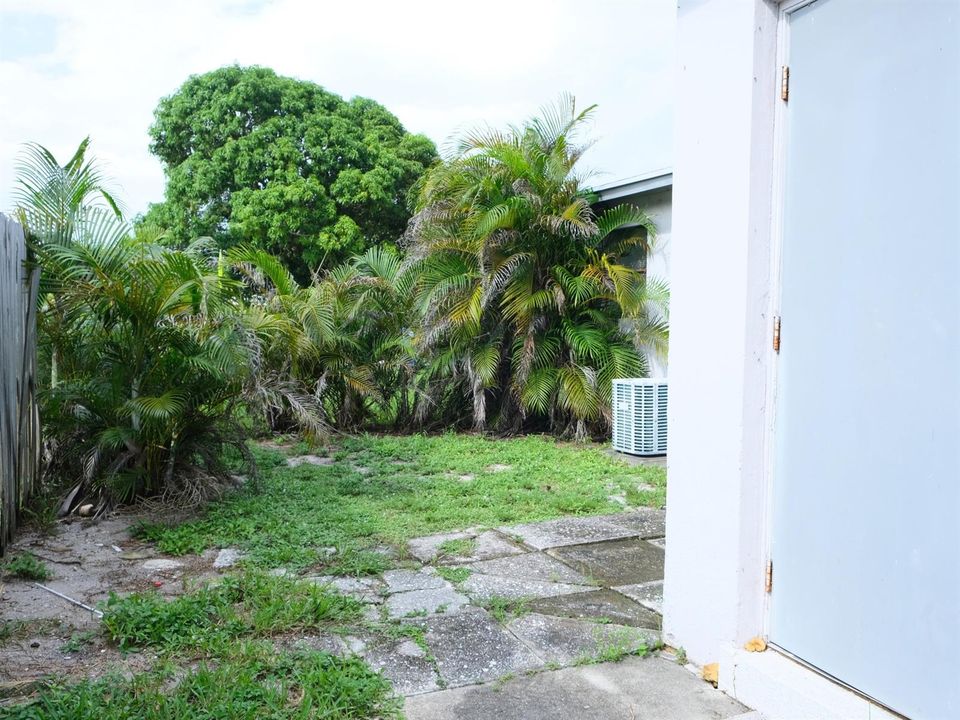 Back Yard