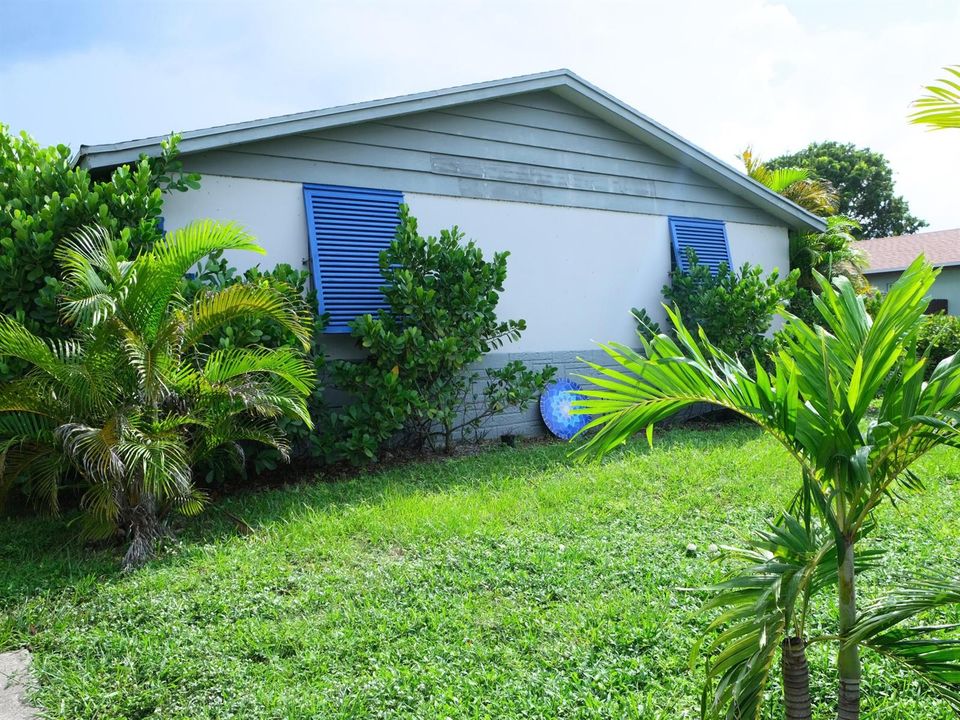Front Yard