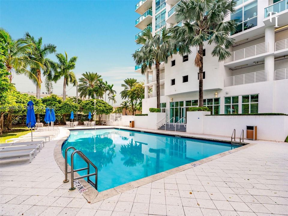 In-ground swimming pool with metal ladder entry, expansive stone paver deck, and surrounding mature palm trees