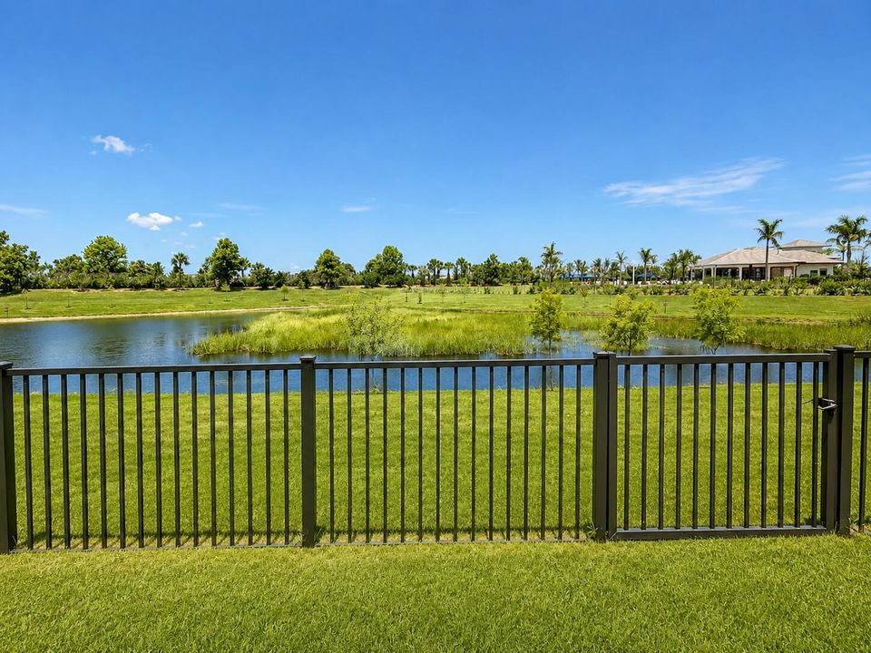 Backyard View