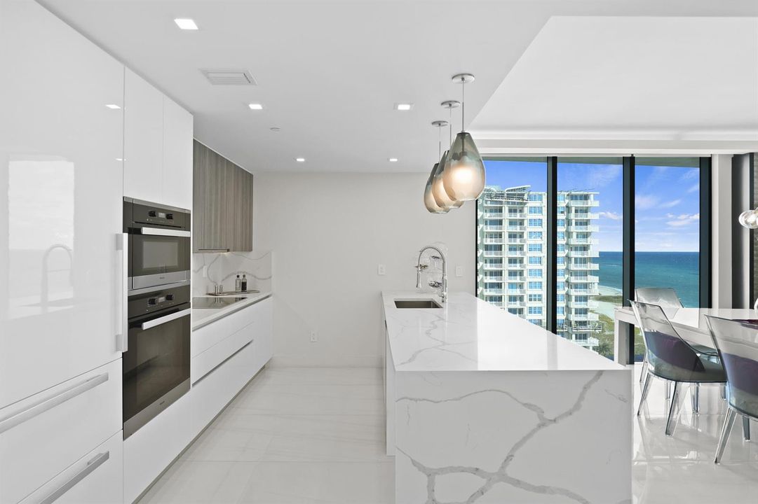 Modern Kitchen W/ Luxury Appliances