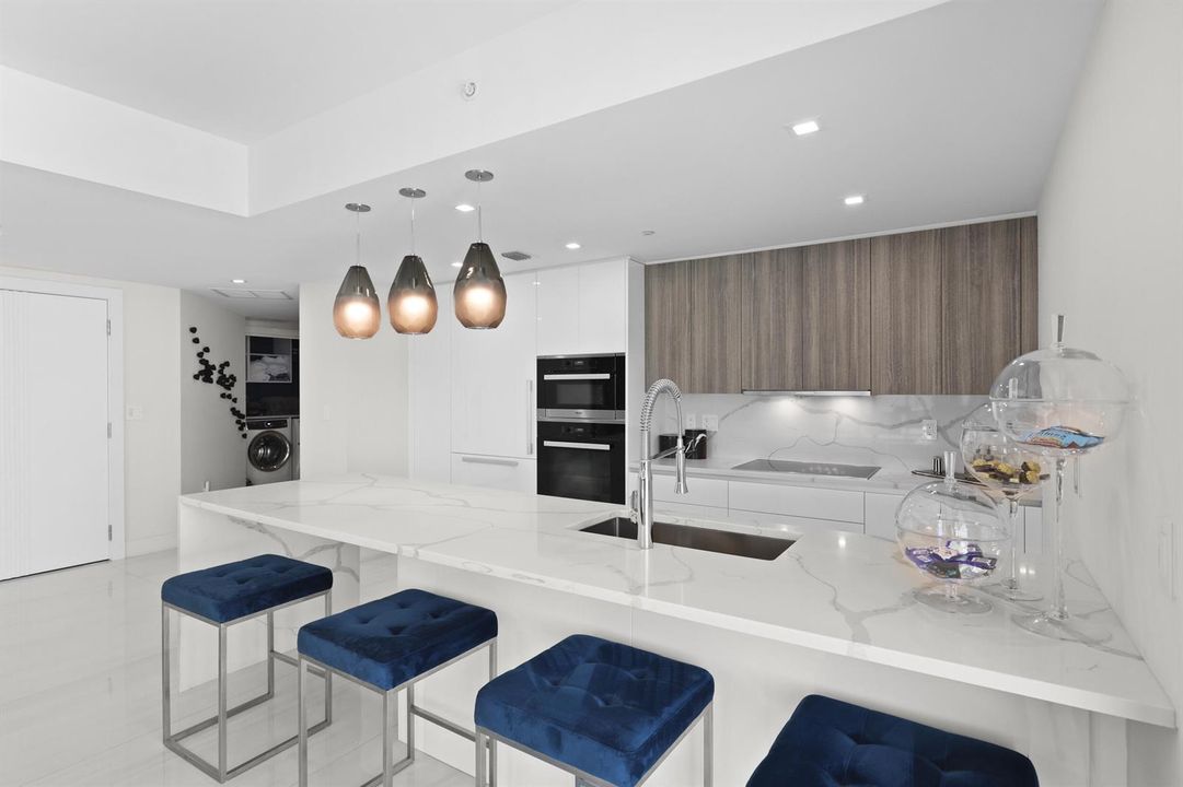 Modern Kitchen W/ Luxury Appliances