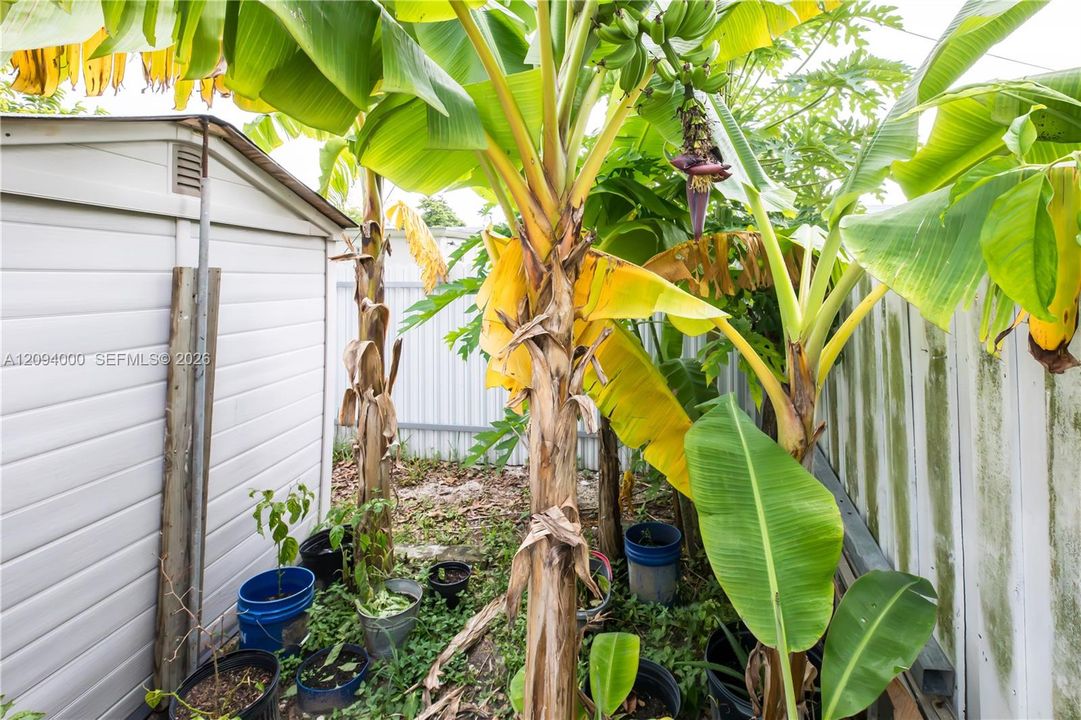For Sale: $707,700 (4 beds, 2 baths, 1345 Square Feet)