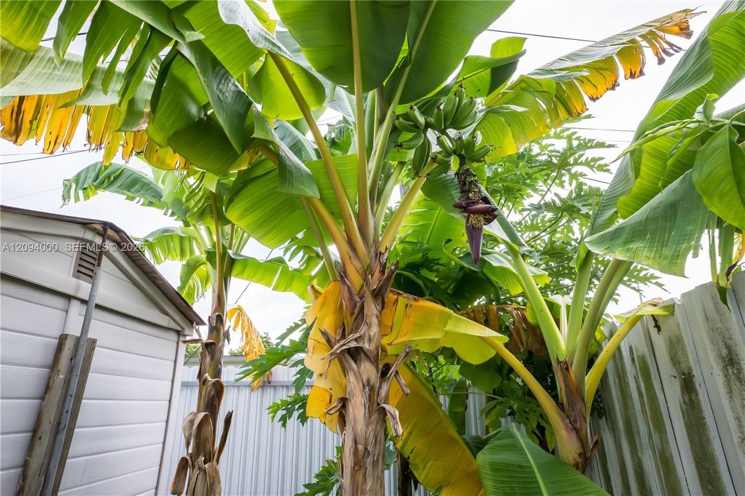 For Sale: $707,700 (4 beds, 2 baths, 1345 Square Feet)