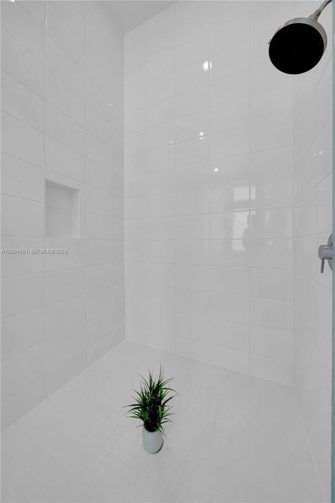 Primary Shower