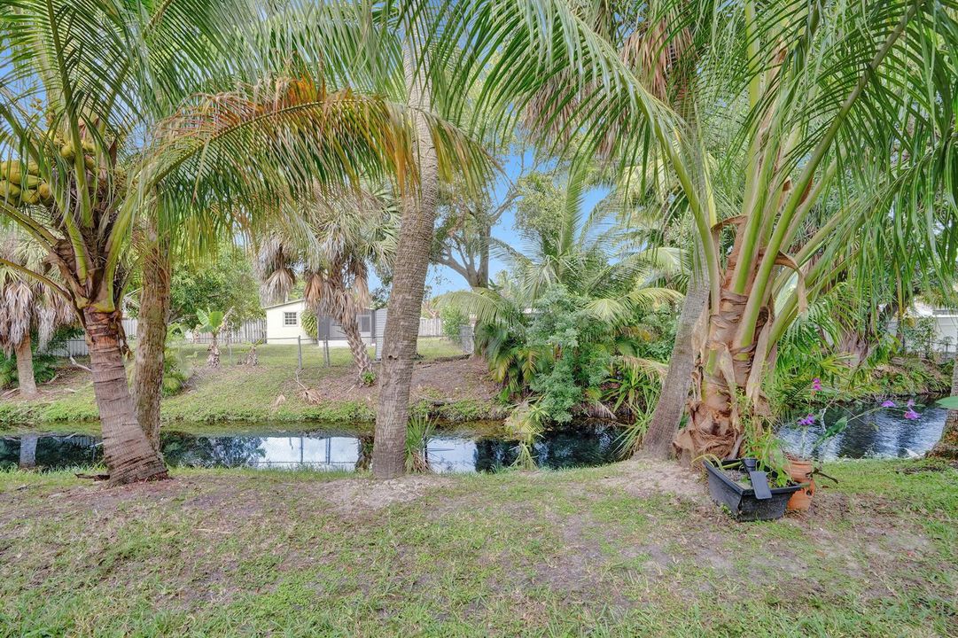 Yard