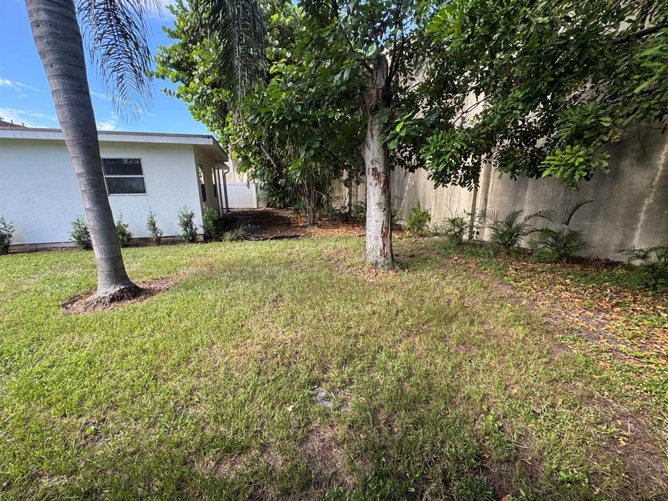 Side Yard