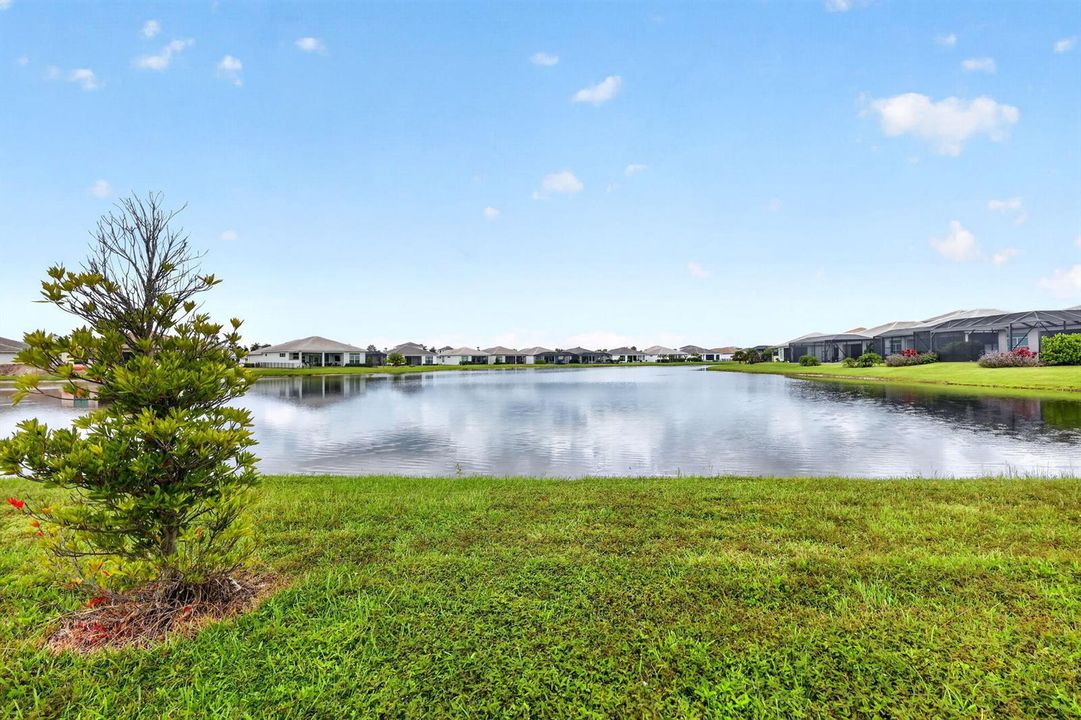48-web-or-mls-5P1A9071 - Copy
