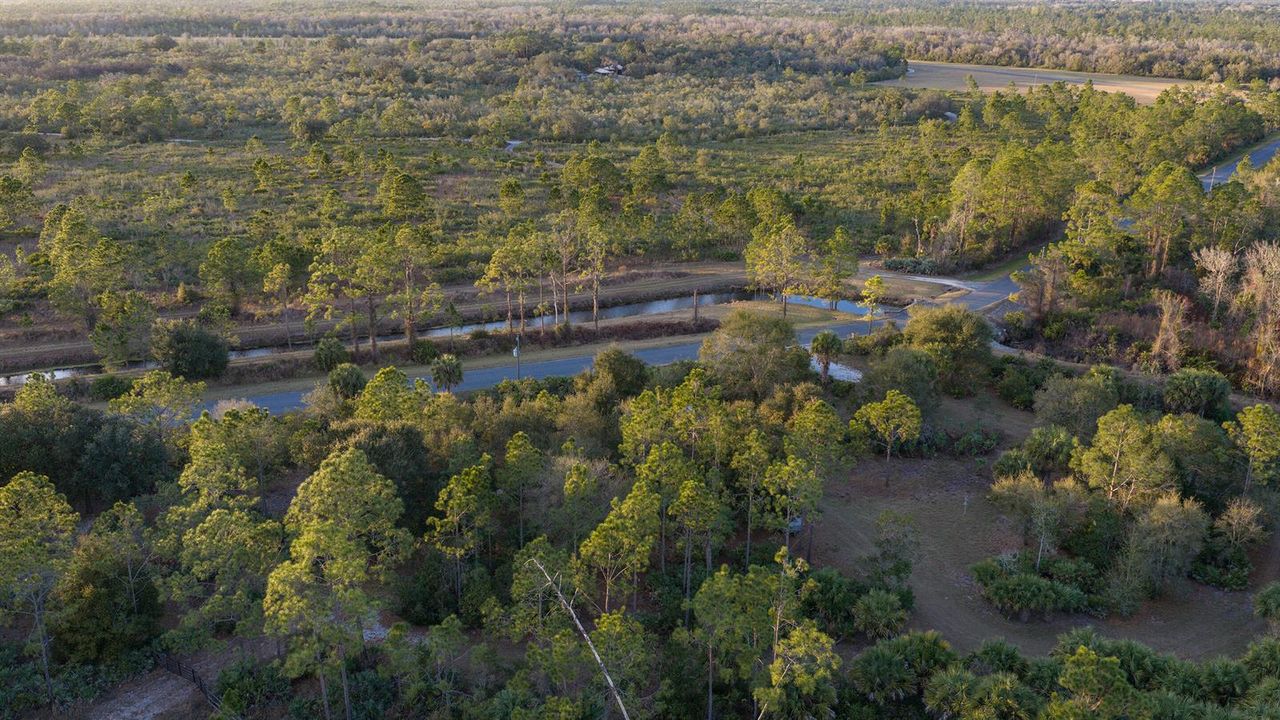 Lot 250 - Drone 6 copy