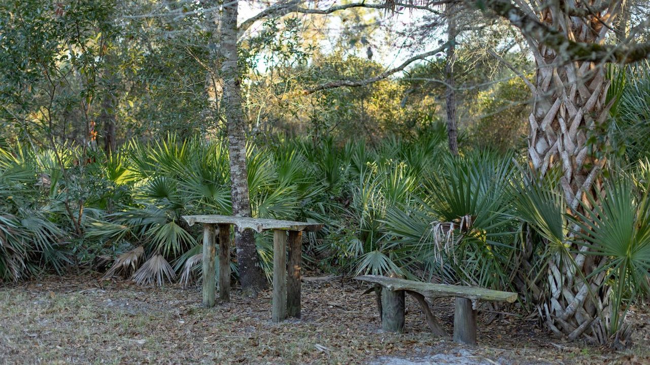Lot 250 - 7