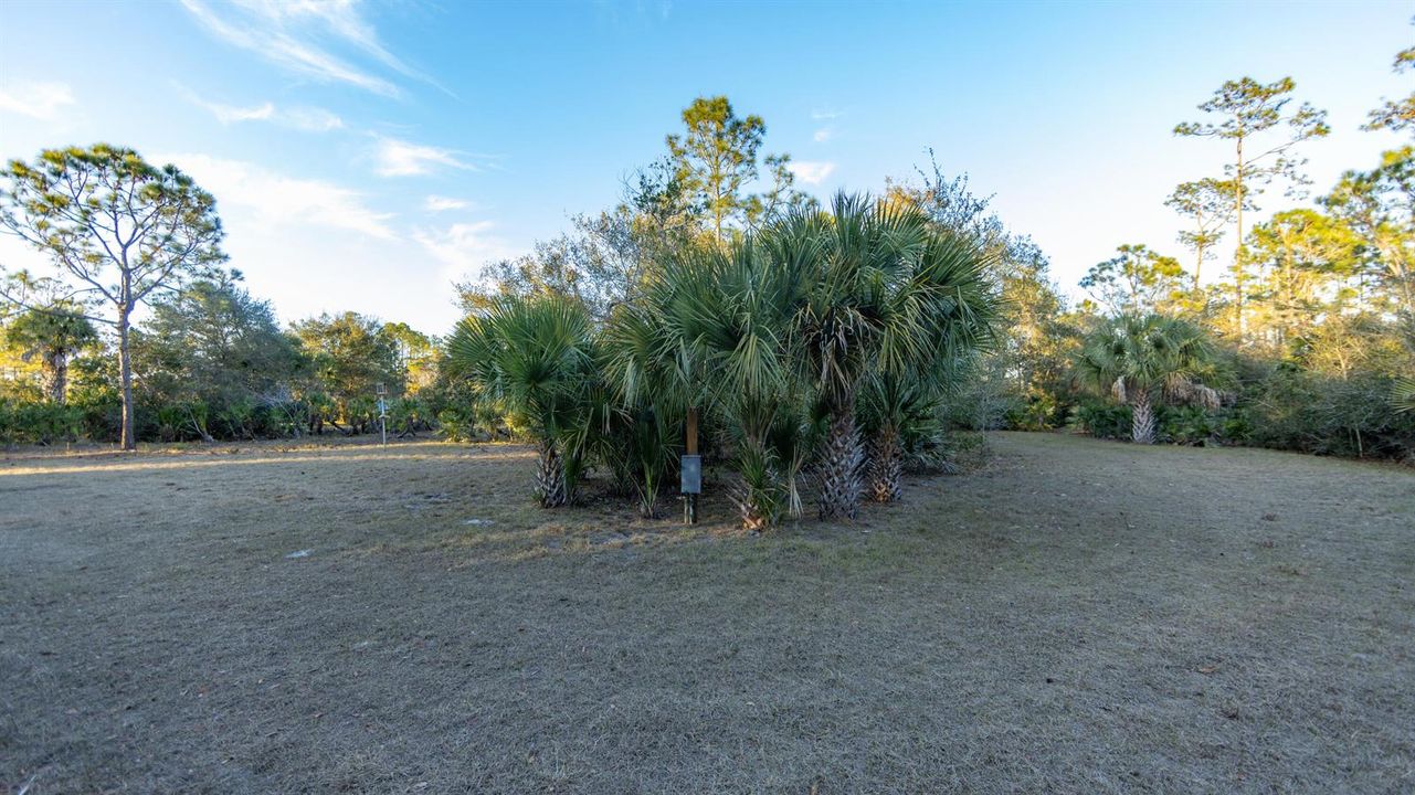 Lot 250 - 4