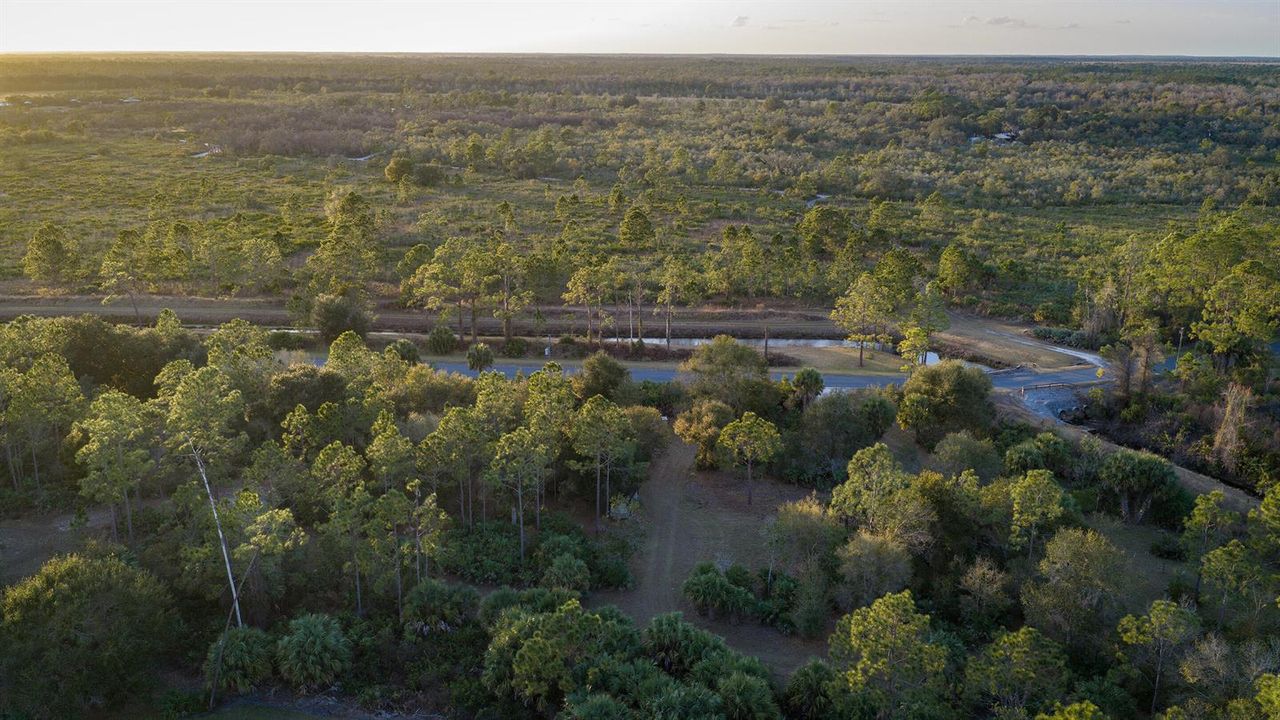Lot 250 - Drone 5 copy