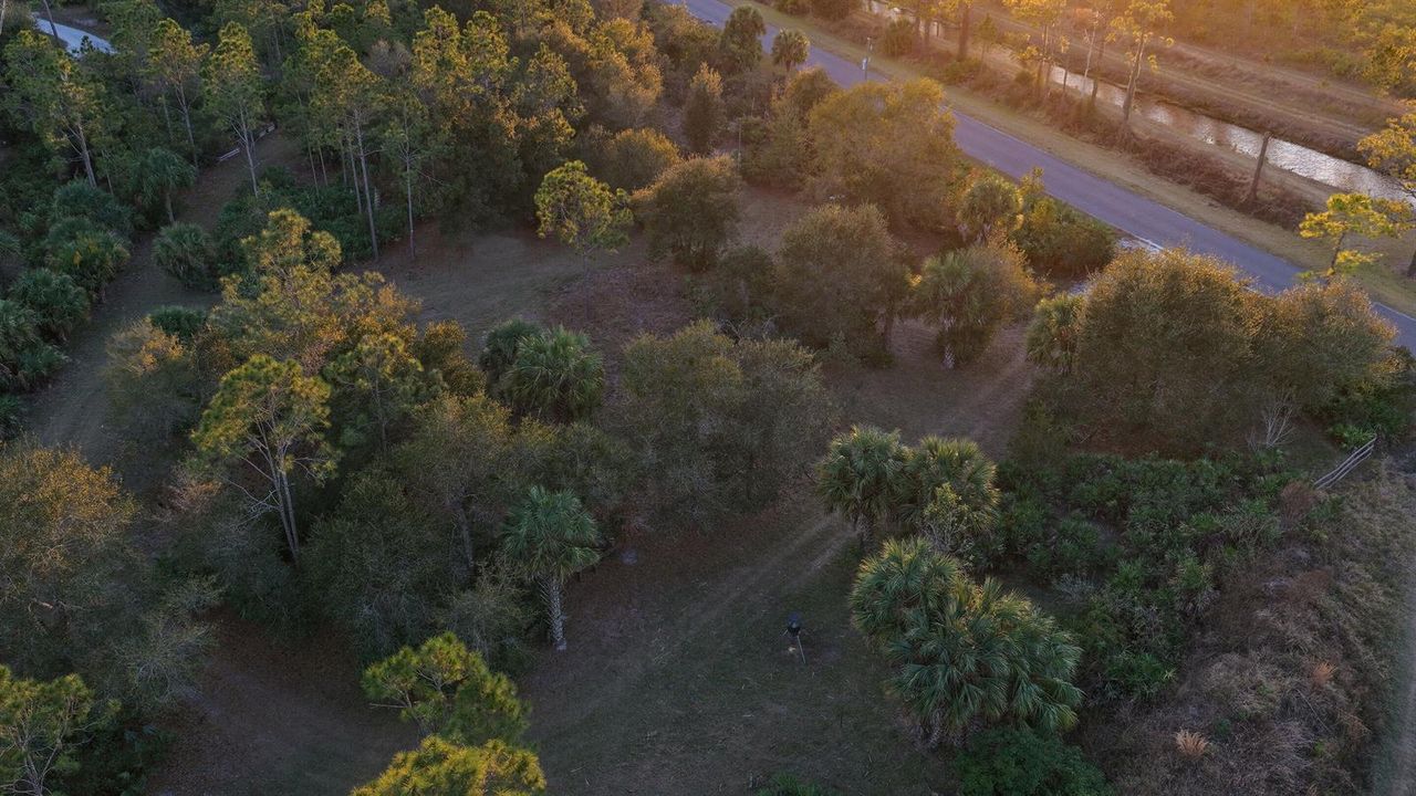 Lot 250 - Drone 1 copy